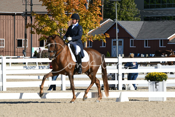HSM_0589