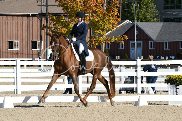 HSM_0590