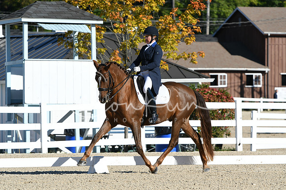 HSM_0593