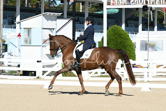 HSM_0601