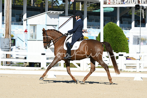 HSM_0602