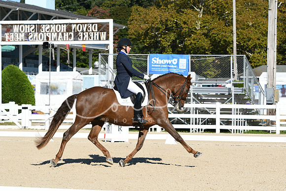 HSM_0609