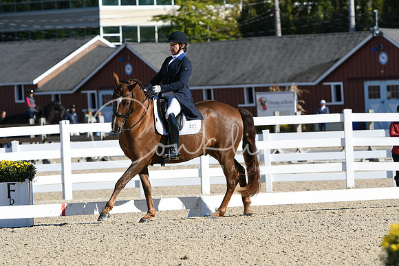 HSM_0620