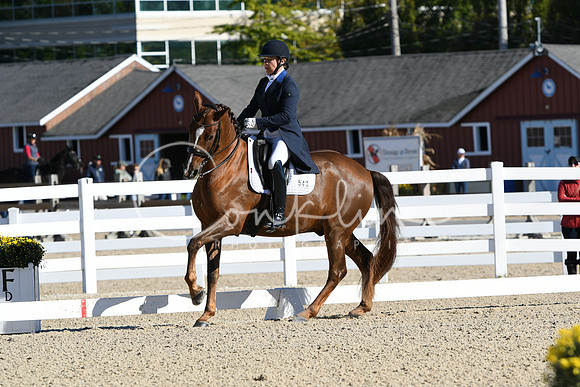 HSM_0619