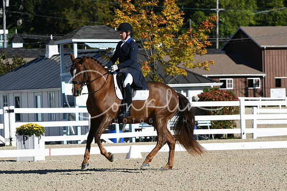 HSM_0623