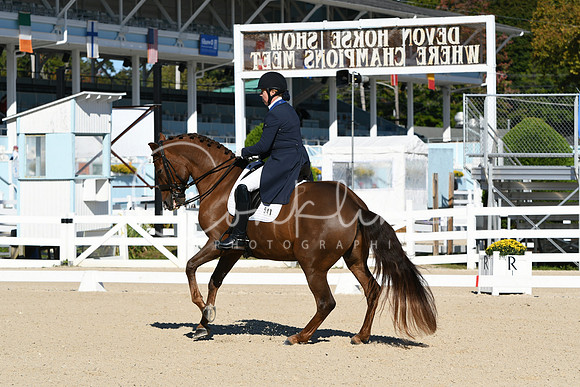 HSM_0635