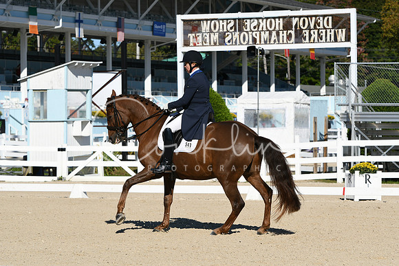 HSM_0636