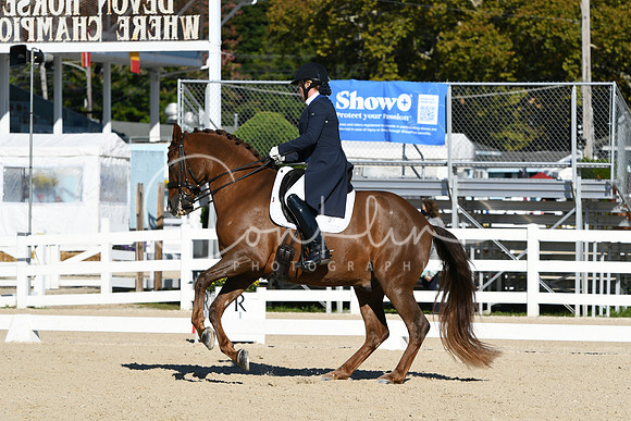 HSM_0649