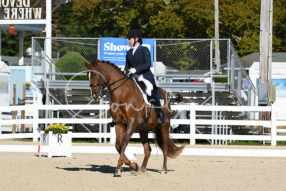 HSM_0647