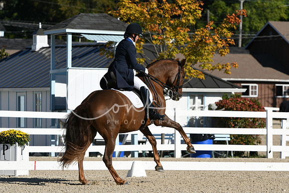 HSM_0662