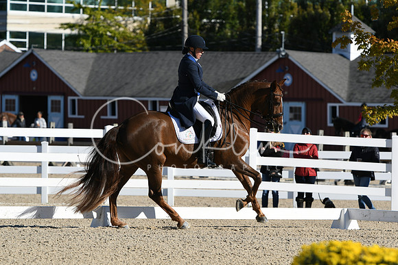 HSM_0664