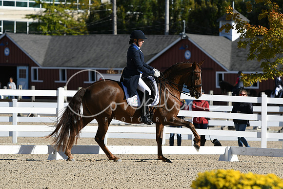HSM_0665