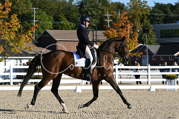 HSM_0084