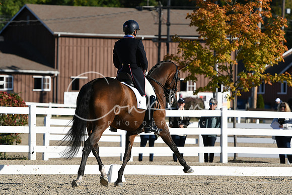 HSM_0108