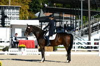 HSM_0462