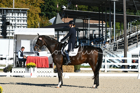 HSM_0462