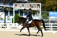 HSM_0463