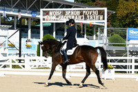 HSM_0464
