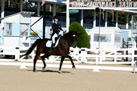 HSM_0467