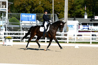 HSM_0472