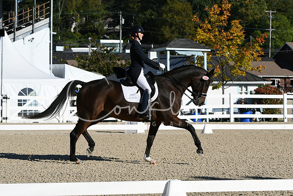 HSM_0475