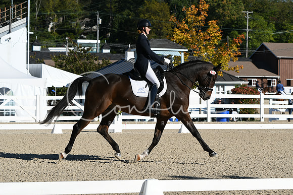 HSM_0476