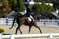 HSM_0477