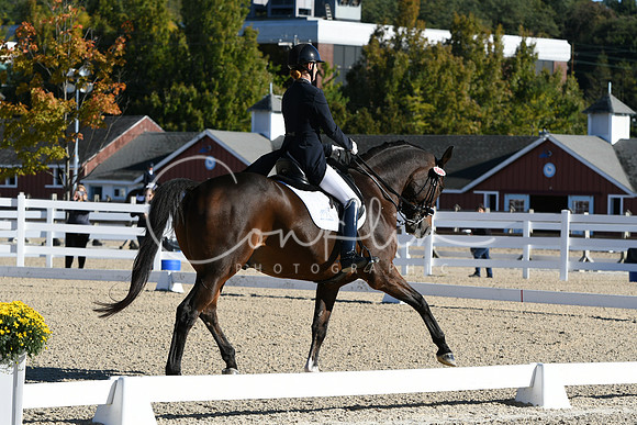 HSM_0477