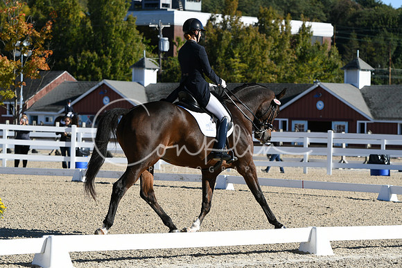 HSM_0478