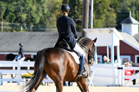 HSM_0479