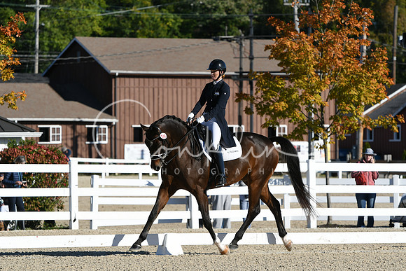 HSM_0481