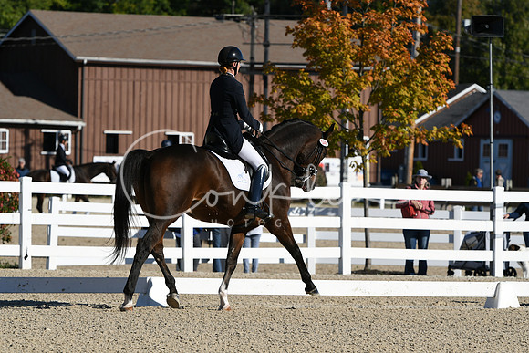 HSM_0502