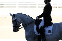 506 Southern Belle SWF
