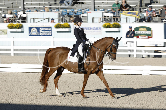 _CM_0311