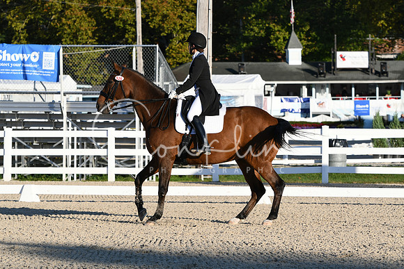 HSM_9553