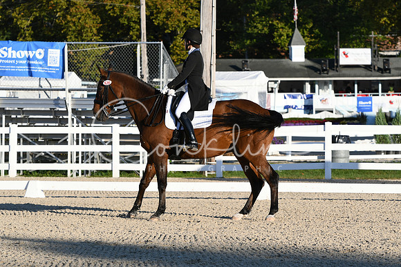 HSM_9554