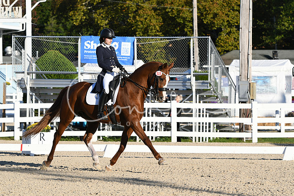 HSM_9738