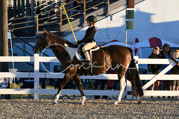 HSM_1551