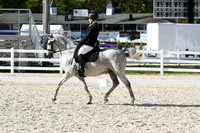 HSM_6931
