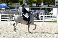 HSM_6937