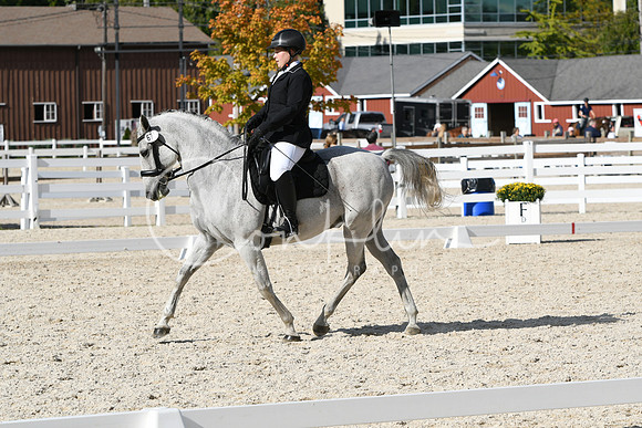 HSM_6943