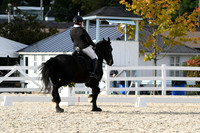 HSM_7672