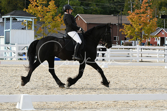 HSM_7695