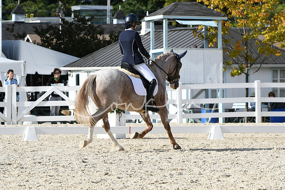 HSM_7258