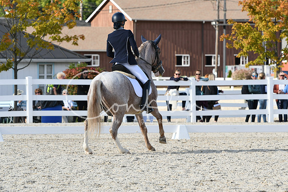 HSM_7297