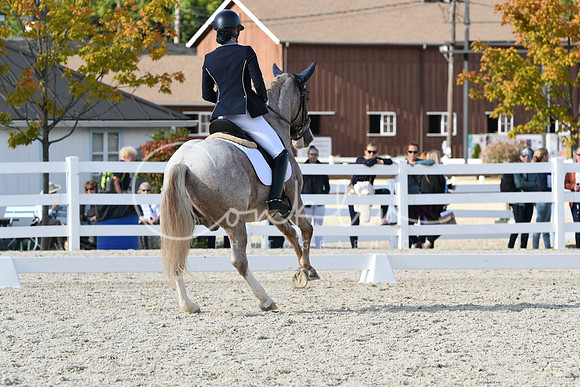 HSM_7296