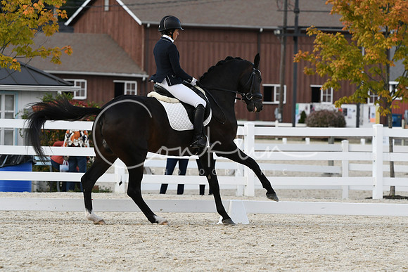 HSM_7803