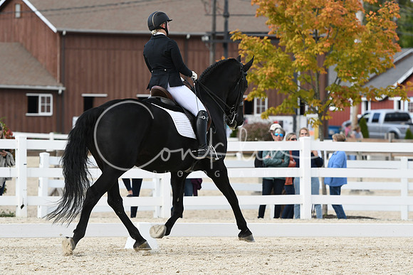 HSM_7179
