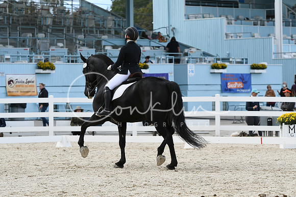 HSM_7195