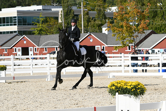 HSM_7209